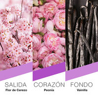 Tokyo  100ml-225882 Tokyo  100ml-225882 3